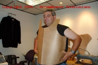 Armor pic2