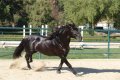 Trejador pic25