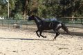 Trejador pic27