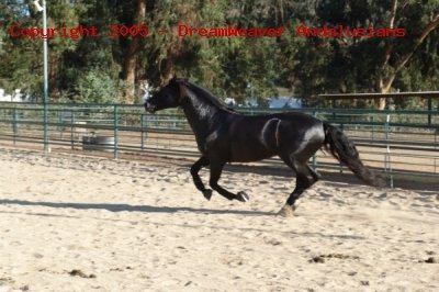 Trejador pic27